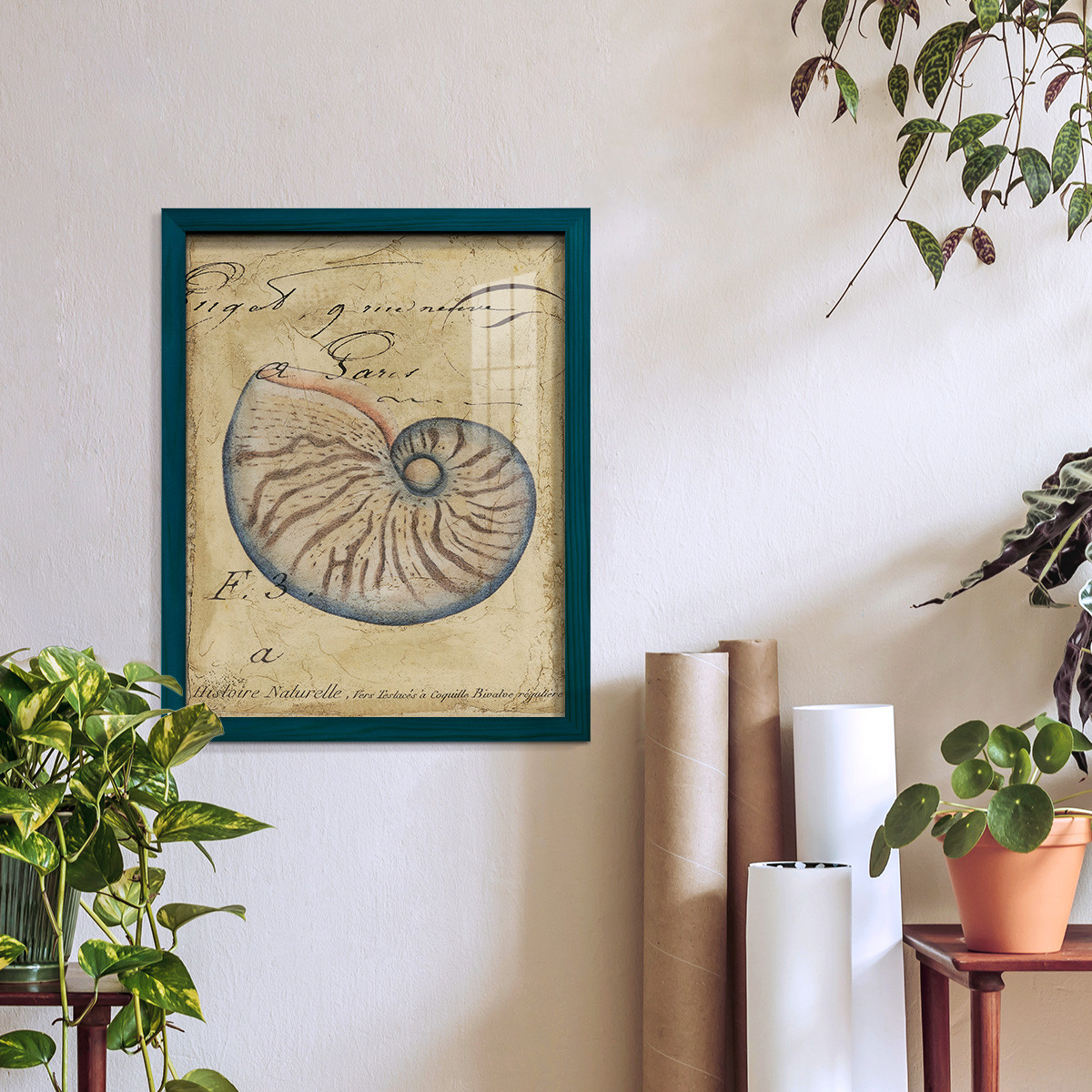 Seashell Ephemera II - Framed Print w/glass - Ocean Blue