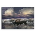 thumbnail image 1 of Epic Art 'Buffalo Reflections' by Enright, Acrylic Glass Wall Art, 16"x12", 1 of 8