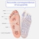 thumbnail image 3 of Calcetines Fisioterapia Reflexología Ilustración Inglesa, 3 of 9