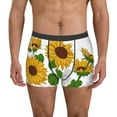 thumbnail image 4 of Wukai Plump Sunflower And Sketch Print Men’s Underwear Breathable Boxer Briefs,&nbsp;Moisture Wicking & Breathable-X-Large, 4 of 7