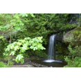 thumbnail image 1 of Posterazzi DPI1861022LARGE Waterfall In the Forest Poster Print, 38 x 24, 1 of 1