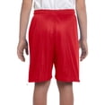 thumbnail image 3 of Russell Men's Dri-Power Mesh Shorts - 659AFB, 3 of 3