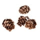thumbnail image 5 of Los Conos de Pino 90 Piezas Crean Decoraciones únicas Inspiradas en La Naturaleza, 5 of 6