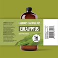 thumbnail image 2 of Aceite esencial Lab Bulks Eucalyptus 473 ml (16 oz) para difusores, 2 of 9