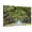 Canvas, variant on Art.com Savannah, Georgia, USA Oak Tree Lined Road at Historic Wormsloe Plantation. Photographic Print by SeanPavonePhoto, 36" x 24"