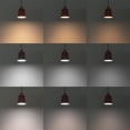 thumbnail image 5 of FSLiving Remote Control with E26 Smart LED Edison Bulbs J-Type Track Light Pendant Retro Pink Shade Adjustable Wire Length Dimmable Color Changing Lamp for Pantry Siting Room,Customizable - 1 Light, 5 of 10