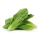 thumbnail image 1 of 3000 semillas de lechuga romana Parris Island Cos - 4+ gramos - Semillas vegetales premium cultivadas en Estados Unidos sin OGM para plantar - por RDR Seeds, 1 of 1