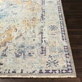 thumbnail image 2 of Traditional CPP5027-23 Door Mat Rug Rectangle 2' x 3', 2 of 4