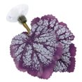 thumbnail image 3 of Almohadilla De Hoja De Betta, Cama De Betta Inodoro, Ligera Y Segura Para Decoración De Acuarios De Peceras Para Zonas De Desove De Betta, 3 of 7
