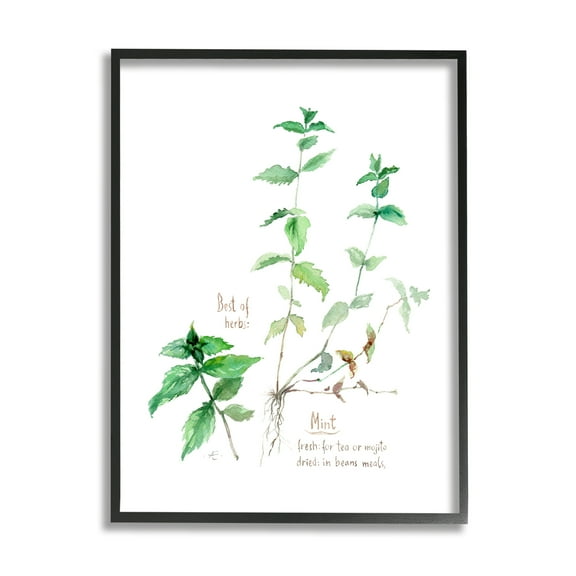 Stupell Industries Mint Sprigs Best of Herbs Watercolor Garden Plants Food & Beverage Painting Black Framed Art Print Wall Art, 11 x 14