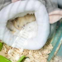 AURARMLET Set of 3 Transparent Acrylic Pet Climbing Racks for Hamster Cage Accessories and Small Animal Exercise