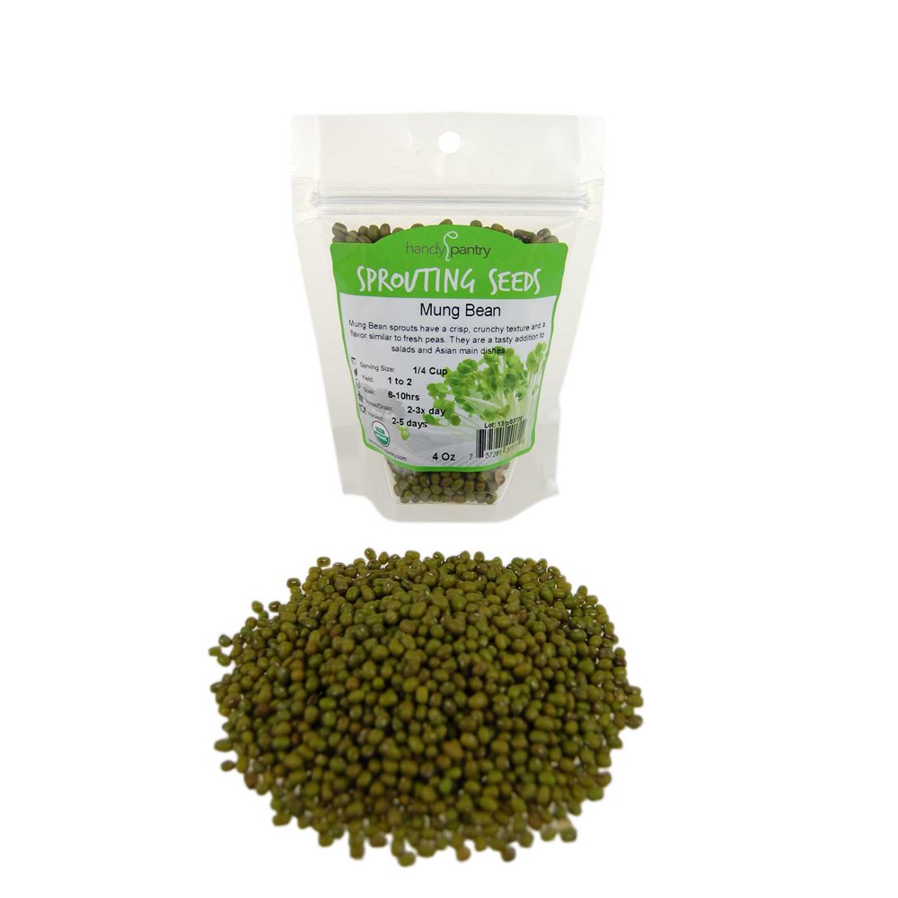 Mung Bean Sprouting Seed Organic 4 Oz Handy Pantry Brand Dried Mung Beans for Sprouts