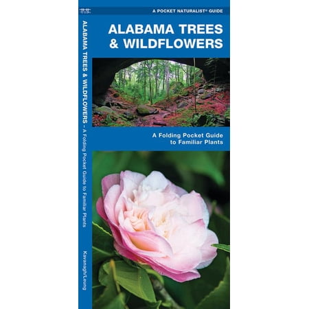 Alabama Trees & Wildflowers : A Folding Pocket Guide to Familiar Plants