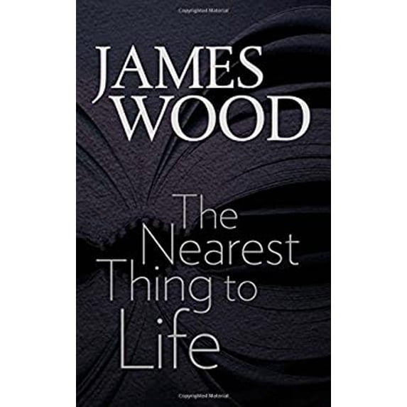 Pre-Owned The Nearest Thing to Life (Paperback) 161168742X 9781611687422