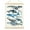 Style 1, variant on NEXAVKPR Whales Poster Alphabets Chart for Children Room Homeschooling Sea Lifes Beach
