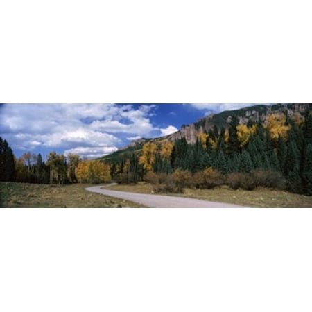 Road passing through a forest Jackson Guard Station Ridgway Colorado USA Canvas Art - Panoramic Images (18 x 6)
