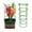10Packs, variant on Plant Support Stakes 10 Pack,Plant Supports For Outdoor Indoor Plants,Plant Support Cage,Plant Support Sticks,Plant Support Ring,Plant Support Stakes Connectors,For Tomato, Trellis, Flower