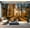 Color2, variant on Peel and Stick Wallpaper Sunlight coniferous forest Modern Art Wall Mural Decor Self Adhesive and Removable 69in x 98in