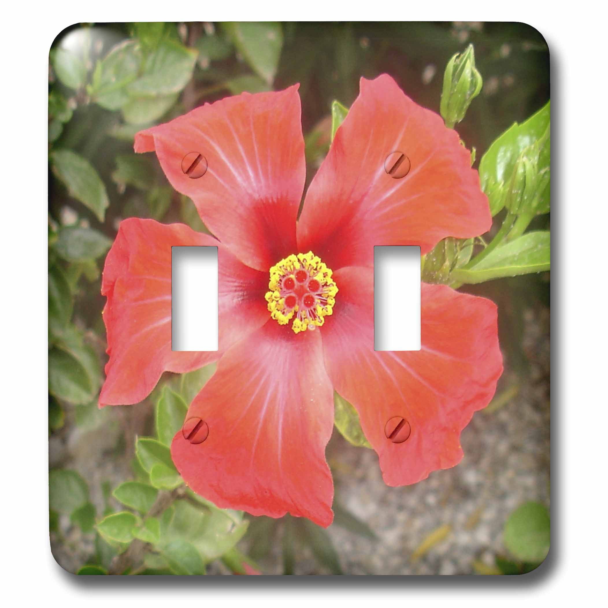 3dRose Tropical Hibiscus bunga raya, flower, flowers, hibiscus