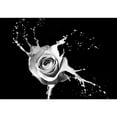 thumbnail image 2 of wall26 - Rose with red Splashes on Black Background - Removable Wall Mural | Self-Adhesive Large Wallpaper - 100x144 inches, 2 of 6