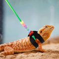 thumbnail image 4 of ORUYROP Lizards Leash Bearded Dragon Adjustable Small Reptile Animals Harness 3 Size Soft Leather Harness Lizards Leash with Wing for Small Medium and Large Reptile Animals (Black (Color Rope), 4 of 5