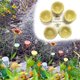 thumbnail image 4 of Taza para beber insectos y abejas, bebedero de abejas con forma de flor, suministros de apicultura de resina, 5 uds., 4 of 6