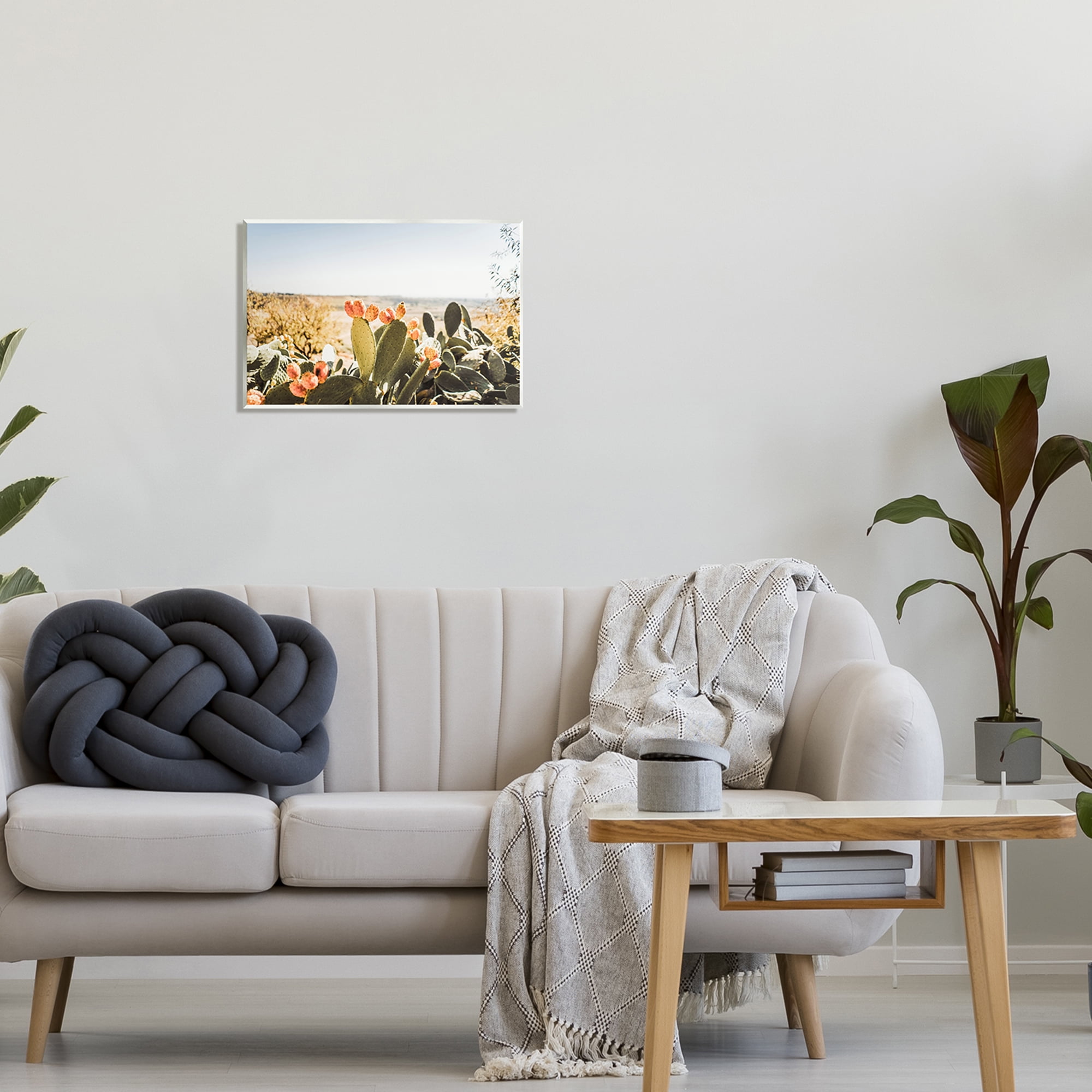 Stupell Sunlit Prickly Pear Cactus Photography Landscape Photography Wall Plaque Unframed Art Print Wall Art