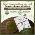 thumbnail image 3 of Organic Way Soursop Leaf Coarse Powder - Herbal Tea | Organic, Vegan, Non GMO & Gluten Free | Resealable Bag, USDA & Kosher Certified | 100% Raw from Sri Lanka (4 Oz), 3 of 8