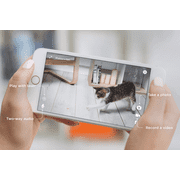 Petcube Interactive Pet Camera Toy with Laser, Matte Silver