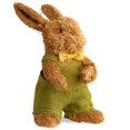 thumbnail image 1 of Lapin Brun de 10,8 Po, 1 of 1