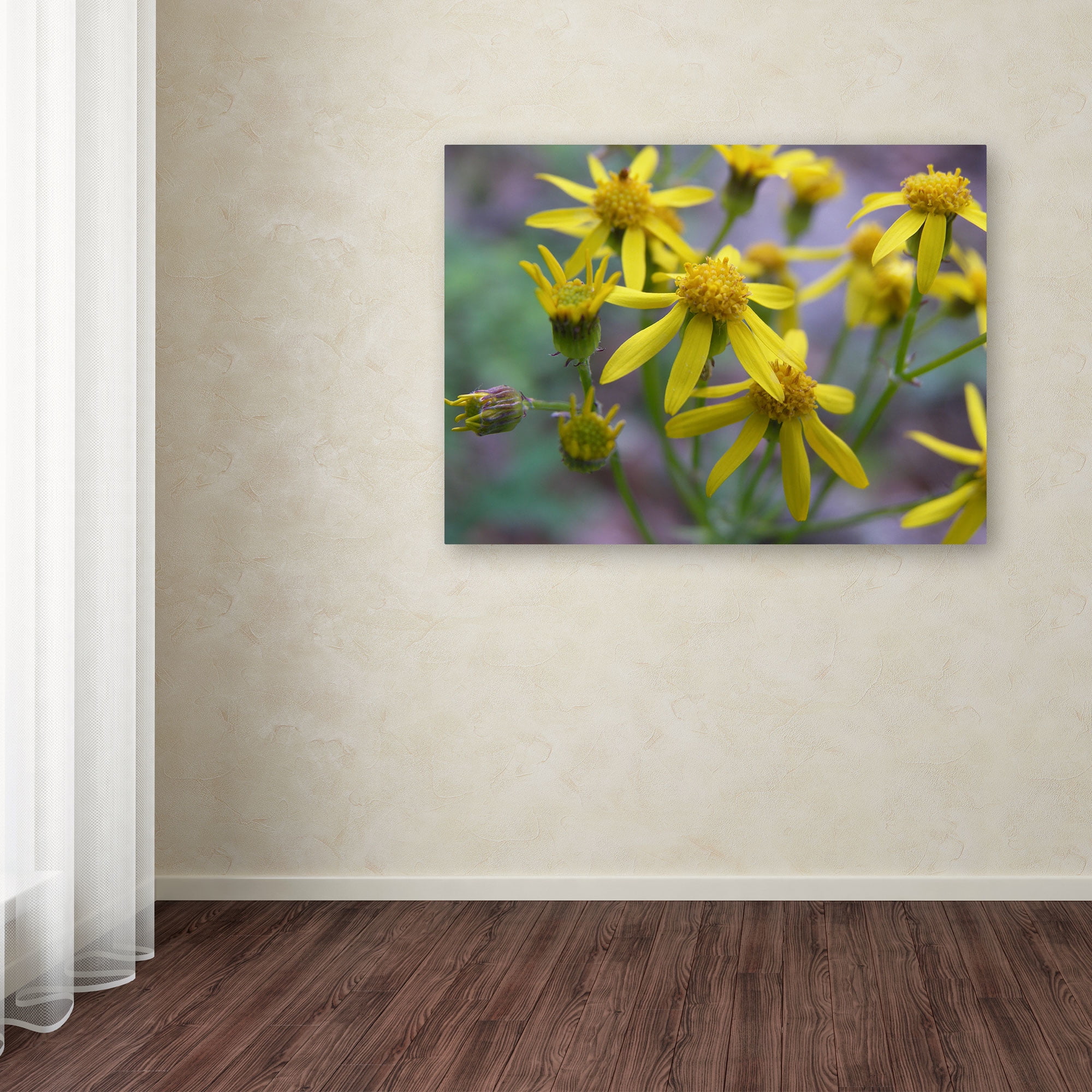 Trademark Fine Art "Intriguing Dynasty" Canvas Art by Monica Fleet
