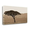 thumbnail image 2 of Tangletown Fine Art Serengeti Horizons I By Jeff,  Gallery Wrap Canvas 39 x 20, 2 of 2