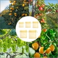thumbnail image 5 of Hariumiu Drawstring Fruit Bag 100pcs Fruit Bags Drawstring Design Fruit Tree Net Bag Bird proof Fruit Mesh Bag for Home Garden Farm, 5 of 8