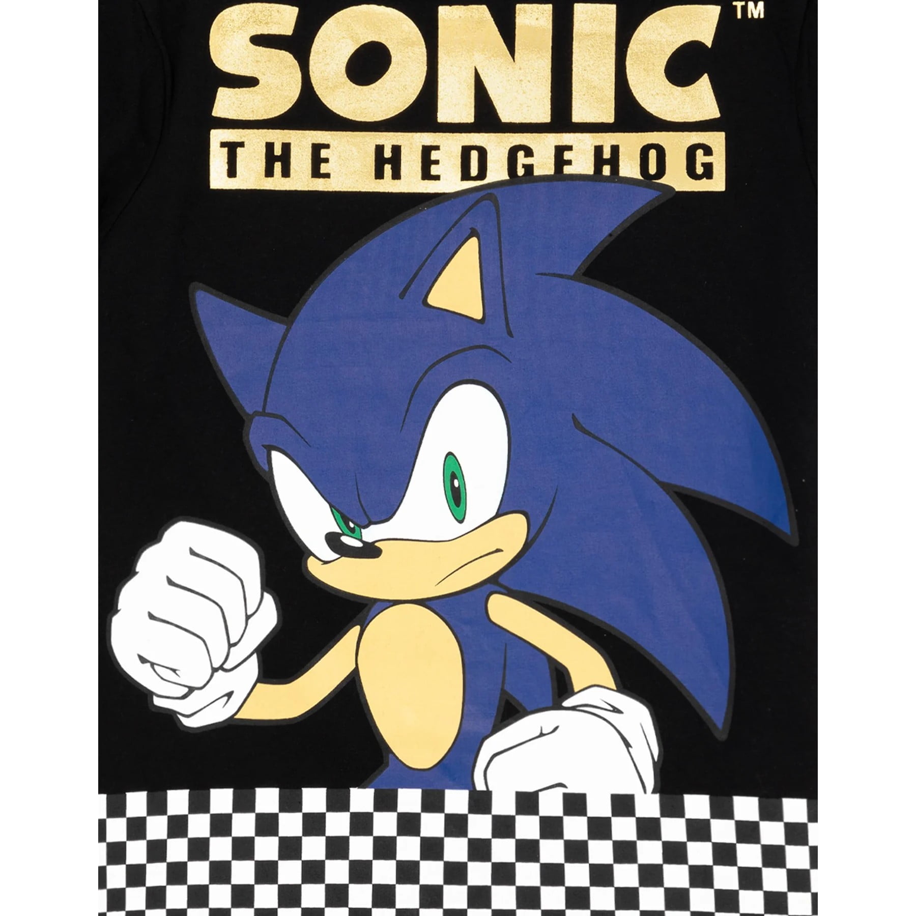 Placa Decorativa A3 Sonic The Hedgehog - Japan Society - Camisetas de Anime  e Temática Japonesa