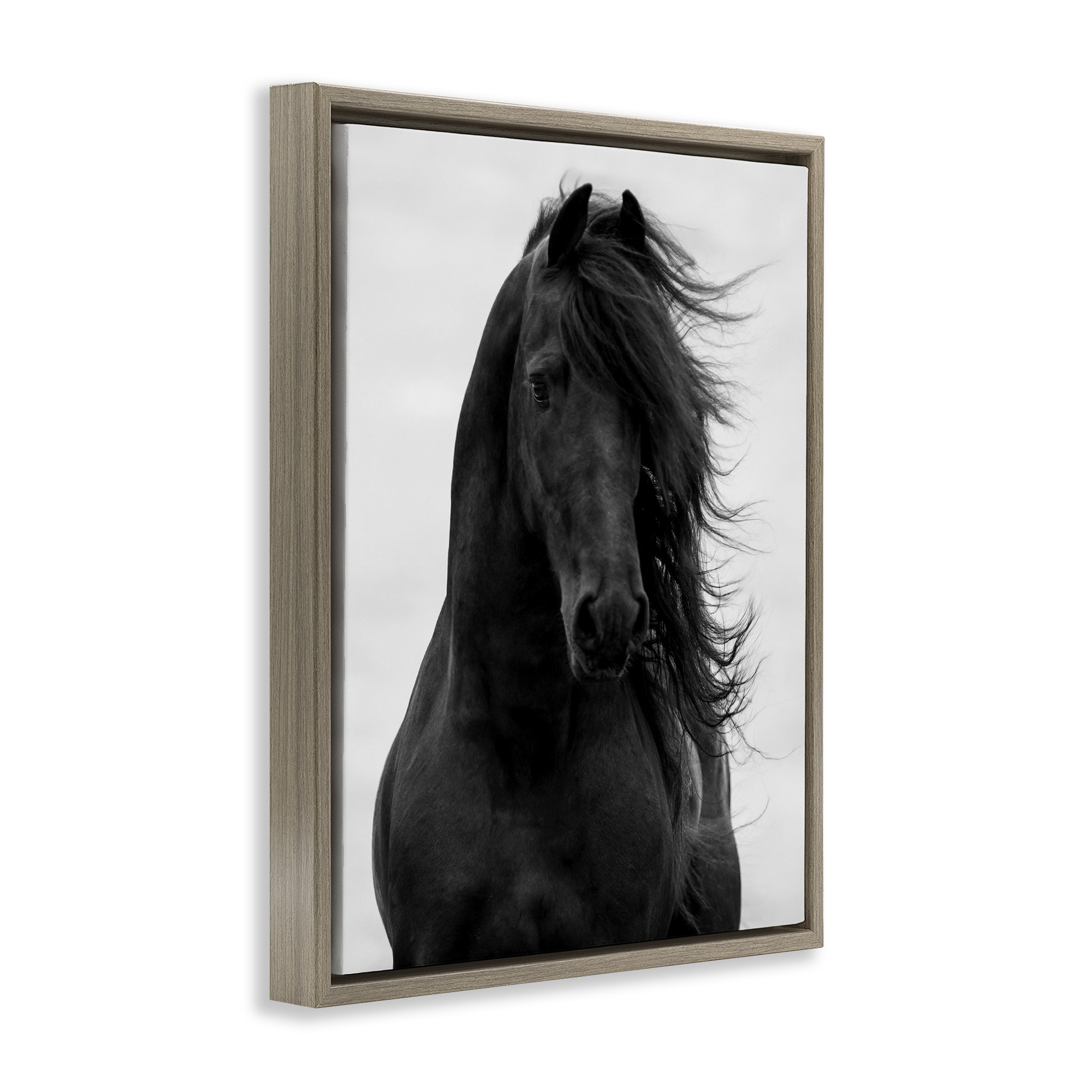 Stupell Industries Black Stallion Horse Portrait Animals & Insects Photography Brown Floater Framed Canvas Art Print Wall Art, 25 x 31