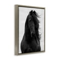 thumbnail image 4 of Stupell Industries Black Stallion Horse Portrait Animals & Insects Photography Brown Floater Framed Canvas Art Print Wall Art, 25 x 31, 4 of 9
