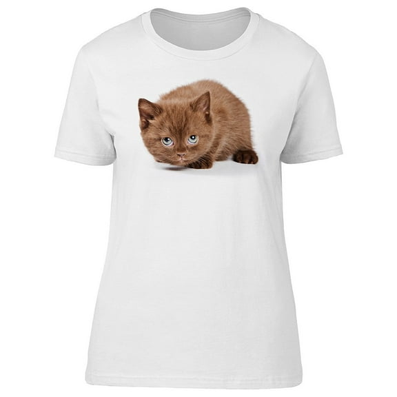 Fluffy Kitten, Cute British Cat Tee Women's -Image by Shutterstock