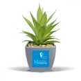 thumbnail image 1 of Hong Kong Geography Coordinates Trave Fake Pineapple Flower Pot Vase Mini Decor, 1 of 3