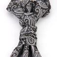 thumbnail image 3 of CSChome Cravate Imprimée pour Hommes - Double Couche Vintage Formelle Cravate en Satin Imprimé, 3 of 7