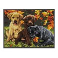 thumbnail image 2 of 14CT Punto de cruz completo Tres perros contados DIY Animal Wall Art Crafts Home Decor Tmvgtek decoración de arte en el hogar, 2 of 9