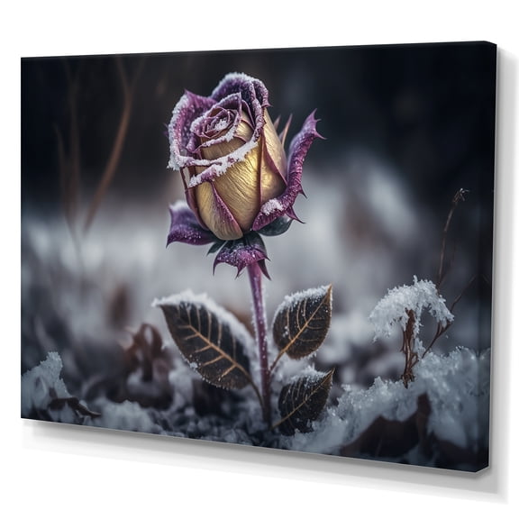 Designart A Blooming Purple Rose Flower In Winter II Canvas Wall Art