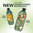 thumbnail image 4 of Herbal Essences Hydrate + Restore Honey Sulfate-Free Shampoo, 13.5 fl oz, 4 of 11