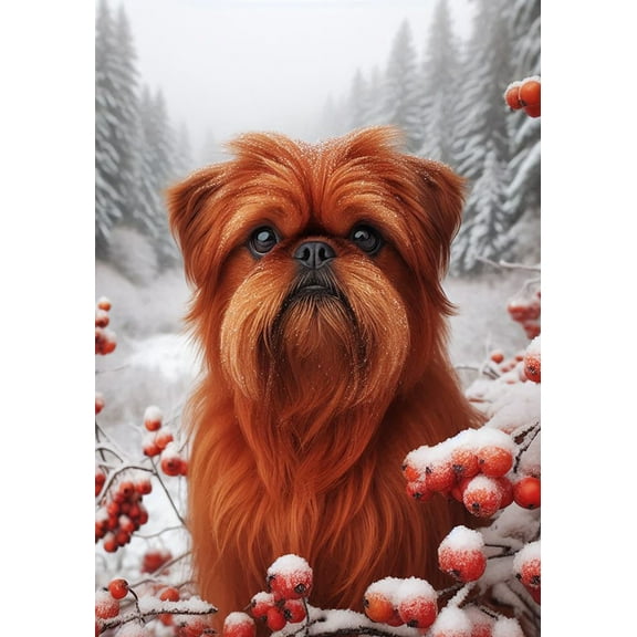 Brussells Griffon Red - Best of Breed DCR Winter Berries Garden Flag 12" x 17"
