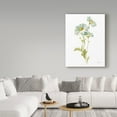 thumbnail image 3 of Trademark Fine Art Floral Canvas Art ' Floursack Florals On White Iii ' by Danhui Nai, 3 of 3