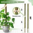 thumbnail image 2 of 80 Inches Large Moss Pole for Plants Monstera, Plant Stakes for Indoor Plants, Monstera Plant Support, Plant Support/Plant Pole for Big Climbing Plants Indoor (1pc., 80''), 2 of 5