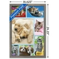 thumbnail image 2 of Keith Kimberlin - Collage de chiots et de chatons, 2 of 4