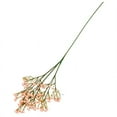 thumbnail image 1 of Simulation Of Mantianxing High-Grade Single Pu Fake Flower, 1 of 5