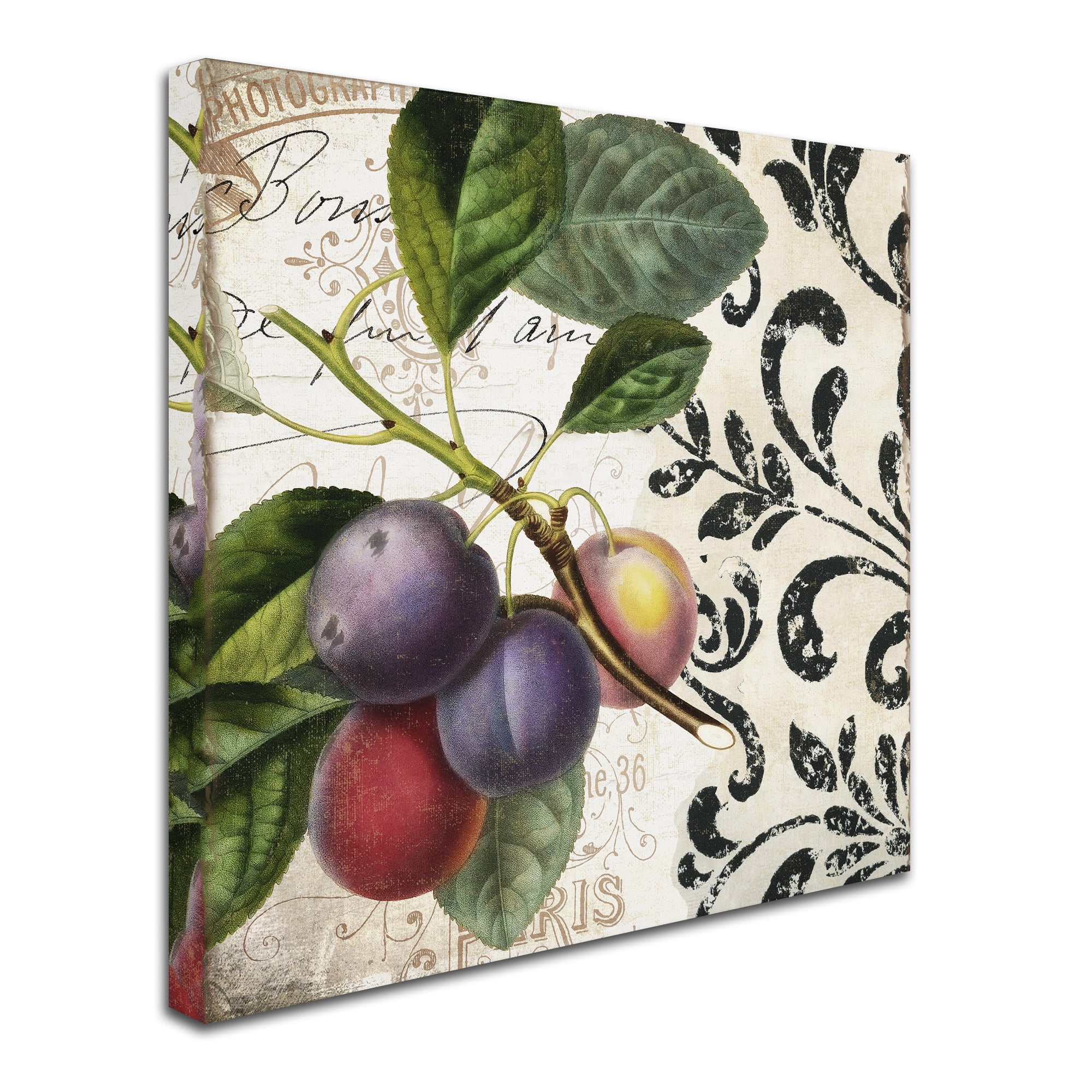 Trademark Fine Art "Les Fruits Jardin III" Canvas Art by Color Bakery
