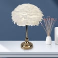 thumbnail image 4 of Lámpara de escritorio,Lámpara de mesa con luz nocturna de escritorio de plumas,Elegante luz de noche LED Dormitorio Decoración para el hogar,Decoración de la sala de lectura de la boda de SM SunniMix Lámpara de escritorio, 4 of 8