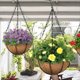 thumbnail image 3 of 10 Comederos para Pájaros de Imitación de Ratán, Colgantes para Macetas, Decorativas para Cultivo, Decoración para el Hogar y el Jardín., 3 of 5